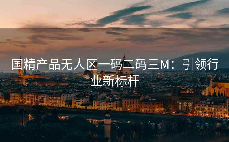 国精产品无人区一码二码三M：引领行业新标杆