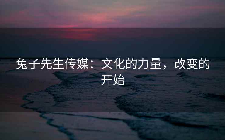 兔子先生传媒：文化的力量，改变的开始