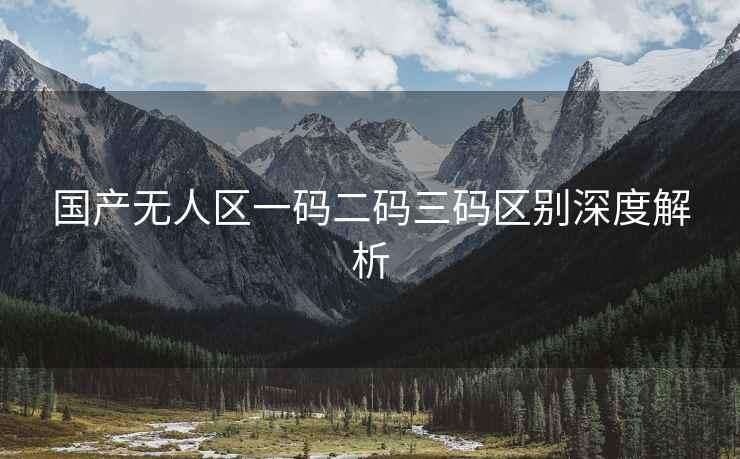 国产无人区一码二码三码区别深度解析
