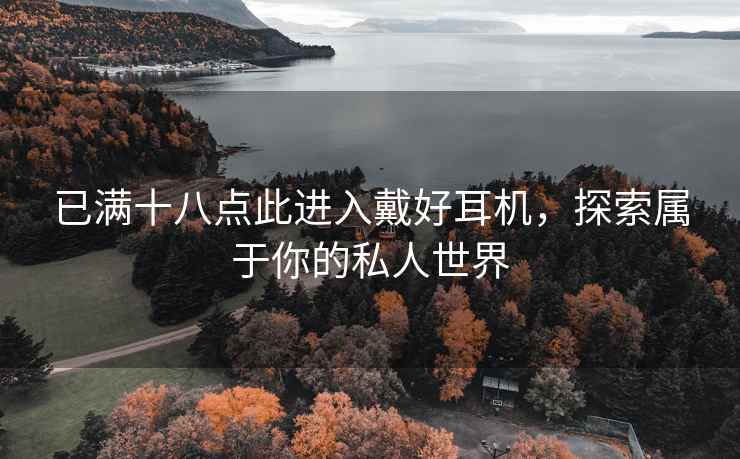 已满十八点此进入戴好耳机，探索属于你的私人世界